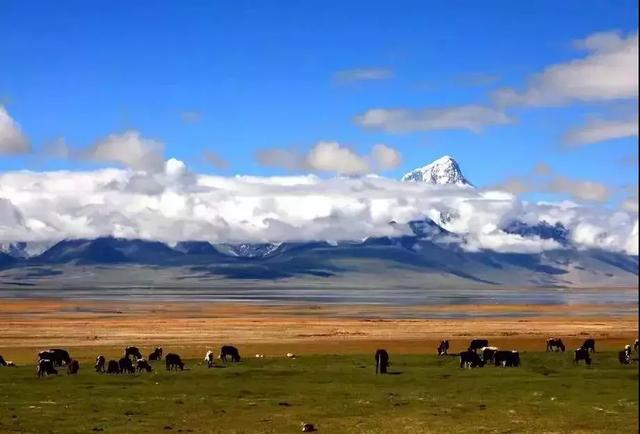 去西藏旅游，应该怎么带衣服，直接收藏，省的去问度娘！