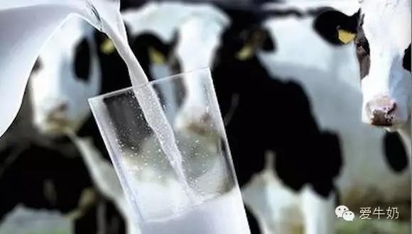 鲜牛奶要怎么加热营养成分才不会流失？